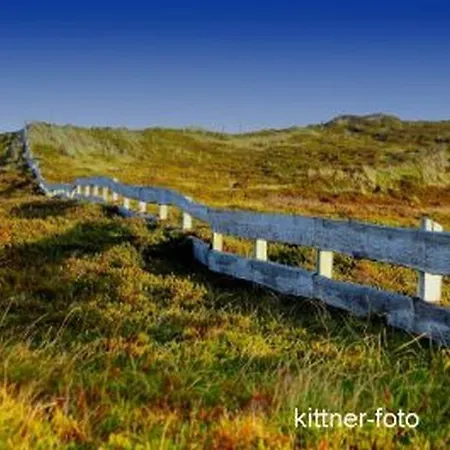 Teegelii Blaue Stranddistel Teegelii Hof * Sylt