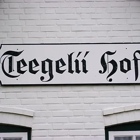 Teegelii Blaue Stranddistel Teegelii Hof Sylt