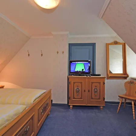 Teegelii Blaue Stranddistel Teegelii Hof